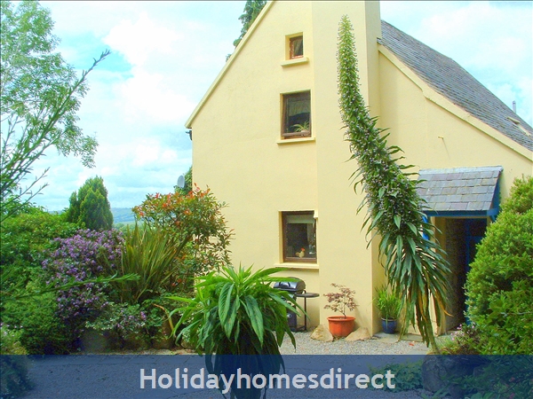 Exotic plants in Granary Cottage garden